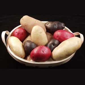 Saborizantes de grano