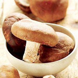 Saborizantes de vegetales